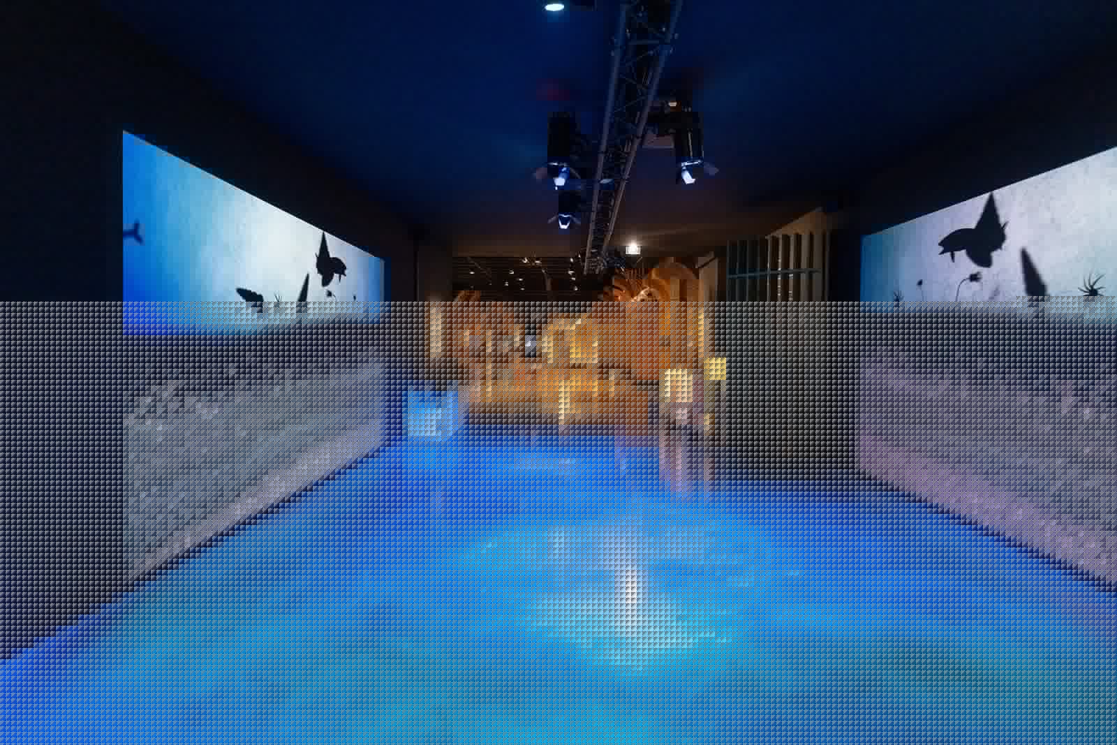 006 Cite des Climats de Beaune Scenographie Antoine Martel Photographe Paris